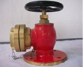 消防栓 (1)